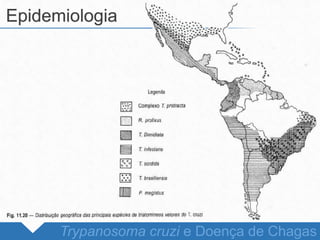 Epidemiologia
Trypanosoma cruzi e Doença de Chagas
 