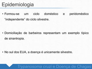 • Formou-se um ciclo doméstico e peridoméstico
“independente” do ciclo silvestre.
• Domiciliação de barbeiros representam um exemplo típico
de sinantropia.
• No sul dos EUA, a doença é unicamente silvestre.
Epidemiologia
Trypanosoma cruzi e Doença de Chagas
 