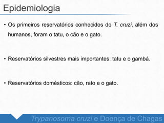 • Os primeiros reservatórios conhecidos do T. cruzi, além dos
humanos, foram o tatu, o cão e o gato.
• Reservatórios silvestres mais importantes: tatu e o gambá.
• Reservatórios domésticos: cão, rato e o gato.
Epidemiologia
Trypanosoma cruzi e Doença de Chagas
 