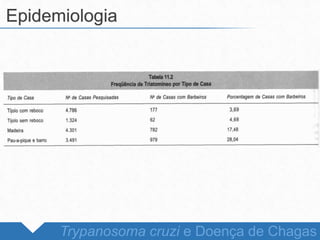 Epidemiologia
Trypanosoma cruzi e Doença de Chagas
 