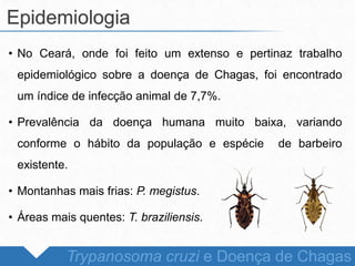 • No Ceará, onde foi feito um extenso e pertinaz trabalho
epidemiológico sobre a doença de Chagas, foi encontrado
um índice de infecção animal de 7,7%.
• Prevalência da doença humana muito baixa, variando
conforme o hábito da população e espécie de barbeiro
existente.
• Montanhas mais frias: P. megistus.
• Áreas mais quentes: T. braziliensis.
Epidemiologia
Trypanosoma cruzi e Doença de Chagas
 
