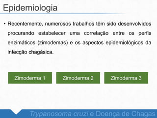 • Recentemente, numerosos trabalhos têm sido desenvolvidos
procurando estabelecer uma correlação entre os perfis
enzimáticos (zimodemas) e os aspectos epidemiológicos da
infecção chagásica.
Epidemiologia
Trypanosoma cruzi e Doença de Chagas
Zimoderma 1 Zimoderma 2 Zimoderma 3
 