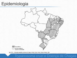 Epidemiologia
Trypanosoma cruzi e Doença de Chagas
 