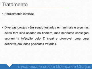 • Parcialmente ineficaz.
• Diversas drogas vêm sendo testadas em animais e algumas
delas têm sido usadas no homem, mas nenhuma consegue
suprimir a infecção pelo T. cruzi e promover uma cura
definitiva em todos pacientes tratados.
Tratamento
Trypanosoma cruzi e Doença de Chagas
 