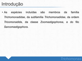 • As espécies incluídas são membros da família
Trichomonadidae, da subfamília Trichomonadidae, da ordem
Tricomonadida, da classe Zoomastigophorea, e do filo
Sarcomastigophora.
Introdução
Trichomonas
 