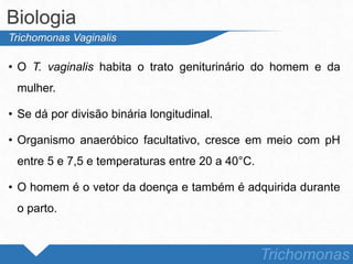 • O T. vaginalis habita o trato geniturinário do homem e da
mulher.
• Se dá por divisão binária longitudinal.
• Organismo anaeróbico facultativo, cresce em meio com pH
entre 5 e 7,5 e temperaturas entre 20 a 40°C.
• O homem é o vetor da doença e também é adquirida durante
o parto.
Biologia
Trichomonas
Trichomonas Vaginalis
 