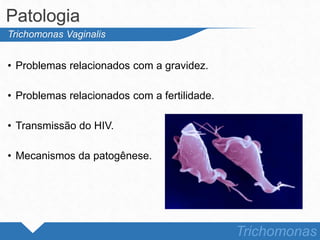 • Problemas relacionados com a gravidez.
• Problemas relacionados com a fertilidade.
• Transmissão do HIV.
• Mecanismos da patogênese.
Patologia
Trichomonas
Trichomonas Vaginalis
 