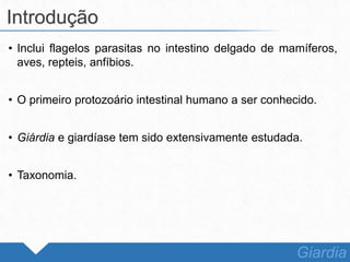 • Inclui flagelos parasitas no intestino delgado de mamíferos,
aves, repteis, anfíbios.
• O primeiro protozoário intestinal humano a ser conhecido.
• Giárdia e giardíase tem sido extensivamente estudada.
• Taxonomia.
Introdução
Giardia
 