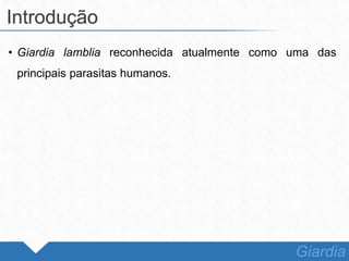 • Giardia lamblia reconhecida atualmente como uma das
principais parasitas humanos.
Introdução
Giardia
 