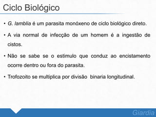 • G. lamblia é um parasita monóxeno de ciclo biológico direto.
• A via normal de infecção de um homem é a ingestão de
cistos.
• Não se sabe se o estimulo que conduz ao encistamento
ocorre dentro ou fora do parasita.
• Trofozoito se multiplica por divisão binaria longitudinal.
Ciclo Biológico
Giardia
 