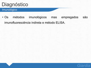 • Os métodos imunológicos mas empregados são
imunofluorescência indireta e método ELISA.
Diagnóstico
Giardia
Imunológico
 