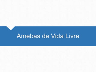 Amebas de Vida Livre
 