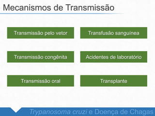 Mecanismos de Transmissão
Trypanosoma cruzi e Doença de Chagas
Transmissão pelo vetor Transfusão sanguínea
Transmissão congênita Acidentes de laboratório
Transmissão oral Transplante
 