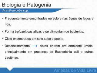 • Frequentemente encontradas no solo e nas águas de lagos e
rios.
• Forma trofozoíticas ativas e se alimentam de bactérias.
• Cisto encontrados em solo seco e poeira.
• Desencistamento cistos entram em ambiente úmido,
principalmente em presença de Escherichia coli e outras
bactérias.
Biologia e Patogenia
Amebas de Vida Livre
Acanthamoeba spp.
 