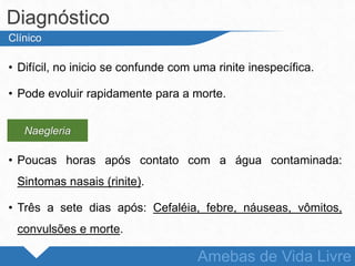 • Difícil, no inicio se confunde com uma rinite inespecífica.
• Pode evoluir rapidamente para a morte.
• Poucas horas após contato com a água contaminada:
Sintomas nasais (rinite).
• Três a sete dias após: Cefaléia, febre, náuseas, vômitos,
convulsões e morte.
Diagnóstico
Amebas de Vida Livre
Clínico
Naegleria
 