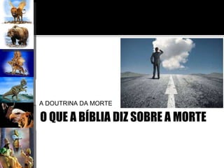 O QUE A BÍBLIA DIZ SOBRE A MORTE
A DOUTRINA DA MORTE
 