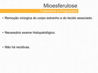 • Remoção cirúrgica do corpo estranho e do tecido associado.
• Necessário exame histopatológico.
• Não há recidivas.
Mioesferulose
Tratamento e Prognóstico
 