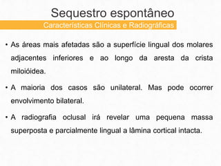• As áreas mais afetadas são a superfície lingual dos molares
adjacentes inferiores e ao longo da aresta da crista
miloióidea.
• A maioria dos casos são unilateral. Mas pode ocorrer
envolvimento bilateral.
• A radiografia oclusal irá revelar uma pequena massa
superposta e parcialmente lingual a lâmina cortical intacta.
Sequestro espontâneo
Características Clínicas e Radiográficas
 