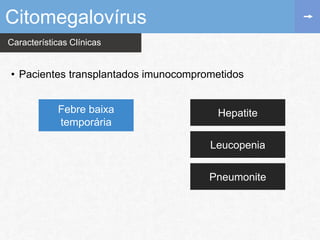 Características Clínicas
Citomegalovírus
• Pacientes transplantados imunocomprometidos
Febre baixa
temporária
Hepatite
Leucopenia
Pneumonite
 