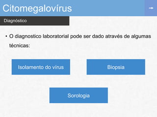 Diagnóstico
• O diagnostico laboratorial pode ser dado através de algumas
técnicas:
Citomegalovírus
Isolamento do vírus
Sorologia
Biopsia
 