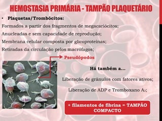 • Plaquetas/Trombócitos:
Formados a partir dos fragmentos de megacariócitos;
Anucleadas e sem capacidade de reprodução;
Membrana celular composta por glicoproteínas;
Retiradas da circulação pelos macrófagos;
HEMOSTASIAPRIMÁRIA-TAMPÃOPLAQUETÁRIO
Pseudópodos
Há também a...
Liberação de grânulos com fatores ativos;
Liberação de ADP e Tromboxano A2;
+ filamentos de fibrina = TAMPÃO
COMPACTO
 