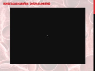 HEMOSTASIASECUNDÁRIA-COÁGULOSANGUÍNEO
 