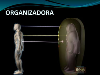 ORGANIZADORA
 