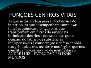 FUNÇÕES CENTROS VITAIS
as que se distendem para a recobertura do
intestino, as que desempenham complexas
funções químicas no fígado, as que
transformam em filtros do sangue na
intimidade dos rins e outras tantas que se
ocupam do fabrico de substâncias
indispensáveis à conservação e defesa da vida
nas glândulas, nos tecidos e nos órgãos que nos
constituem o cosmo vivo de manifestação.
ANDRÉ LUIZ – EVOLUÇÃO EM DOIS
MUNDOS
 
