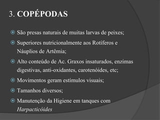 3. COPÉPODAS 
 São presas naturais de muitas larvas de peixes; 
 Superiores nutricionalmente aos Rotíferos e 
Náuplios de Artêmia; 
 Alto conteúdo de Ac. Graxos insaturados, enzimas 
digestivas, anti-oxidantes, carotenóides, etc; 
 Movimentos geram estímulos visuais; 
 Tamanhos diversos; 
 Manutenção da Higiene em tanques com 
Harpacticóides 
 