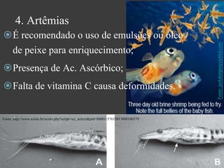 4. Artêmias 
É recomendado o uso de emulsões ou óleo 
de peixe para enriquecimento; 
Presença de Ac. Ascórbico; 
Falta de vitamina C causa deformidades. 
Fonte: jackdempseycichlid.com 
Fonte: http://www.scielo.br/scielo.php?script=sci_arttext&pid=S0001-37652013000100379 
 