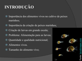 INTRODUÇÃO 
 Importância dos alimentos vivos no cultivo de peixes 
marinhos; 
 Importância da criação de peixes marinhos; 
 Criação de larvas em grande escala; 
 Problema: Alimentação para as larvas; 
 Quantidade e qualidade nutricional; 
 Alimentos vivos. 
 Tamanho do alimento vivo; 
Fonte: larvalimages.com 
 