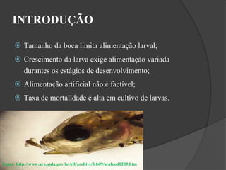 INTRODUÇÃO 
 Tamanho da boca limita alimentação larval; 
 Crescimento da larva exige alimentação variada 
durantes os estágios de desenvolvimento; 
 Alimentação artificial não é factível; 
 Taxa de mortalidade é alta em cultivo de larvas. 
Fonte: http://www.ars.usda.gov/is/AR/archive/feb09/seafood0209.htm 
 