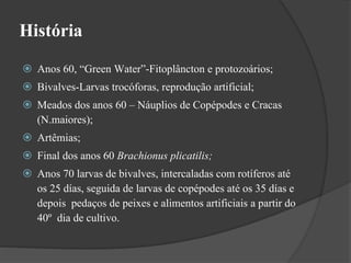 História 
 Anos 60, “Green Water”-Fitoplâncton e protozoários; 
 Bivalves-Larvas trocóforas, reprodução artificial; 
 Meados dos anos 60 – Náuplios de Copépodes e Cracas 
(N.maiores); 
 Artêmias; 
 Final dos anos 60 Brachionus plicatilis; 
 Anos 70 larvas de bivalves, intercaladas com rotíferos até 
os 25 días, seguida de larvas de copépodes até os 35 días e 
depois pedaços de peixes e alimentos artificiais a partir do 
40º dia de cultivo. 
 