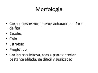 Morfologia

• Corpo dorsoventralmente achatado em forma
  de fita
• Escolex
• Colo
• Estróbilo
• Proglótide
• Cor branco-leitosa, com a parte anterior
  bastante afilada, de difícil visualização
 