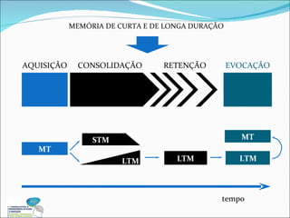 tempo MEMÓRIA DE CURTA E DE LONGA DURAÇÃO AQUISIÇÃO MT CONSOLIDAÇÃO LTM STM RETENÇÃO LTM EVOCAÇÃO LTM MT 