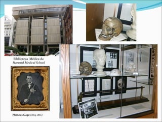 Bibliioteca  Médica da  Harvard Medical School Phineas Gage   (1819-1861) 