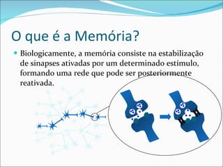 O que é a Memória? Biologicamente, a memória consiste na estabilização de sinapses ativadas por um determinado estímulo, formando uma rede que pode ser posteriormente reativada. 