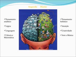 Pensamento holístico Intuição Criatividade Arte e Música Pensamento analítico Lógica Linguagem Ciência e Matemática http://www.ideachampions.com/weblogs/archives/2008/07/ Esquerdo Direito 