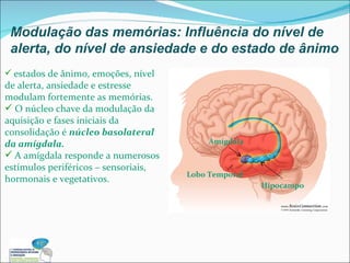 Modulação das memórias: Influência do nível de alerta, do nível de ansiedade e do estado de ânimo estados de ânimo, emoções, nível de alerta, ansiedade e estresse modulam fortemente as memórias. O núcleo chave da modulação da aquisição e fases iniciais da consolidação é  núcleo basolateral da amígdala. A amígdala responde a numerosos estímulos periféricos – sensoriais, hormonais e vegetativos. Amígdala Lobo Temporal Hipocampo 