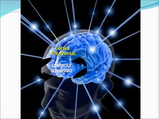 Córtex  Pré-Frontal www.google .images 