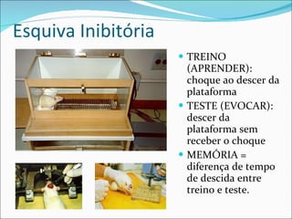 Esquiva Inibitória TREINO (APRENDER): choque ao descer da plataforma TESTE (EVOCAR):  descer da plataforma sem receber o choque MEMÓRIA = diferença de tempo de descida entre treino e teste. 