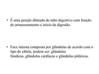 • É uma porção dilatada do tubo digestivo com função
  de armazenamento e início da digestão.




• Face interna composta por glândulas de acordo com o
  tipo de célula, podem ser: glândulas
  fúndicas, glândulas cardíacas e glândulas pilóricas.
 