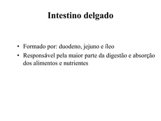 Intestino delgado


• Formado por: duodeno, jejuno e íleo
• Responsável pela maior parte da digestão e absorção
  dos alimentos e nutrientes
 