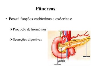 Pâncreas
• Possui funções endócrinas e exócrinas:

  Produção de hormônios

  Secreções digestivas
 