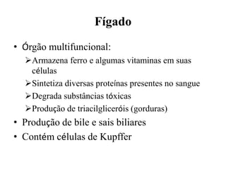 Fígado
• Órgão multifuncional:
  Armazena ferro e algumas vitaminas em suas
   células
  Sintetiza diversas proteínas presentes no sangue
  Degrada substâncias tóxicas
  Produção de triacilgliceróis (gorduras)
• Produção de bile e sais biliares
• Contém células de Kupffer
 