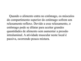 Quando o alimento entra no estômago, os músculos
do compartimento superior do estômago sofrem um
relaxamento reflexo. Devido a esse relaxamento, o
estômago pode se dilatar para aceitar grandes
quantidades de alimento sem aumentar a pressão
intraluminal. A atividade muscular neste local é
passiva, ocorrendo pouca mistura.
 