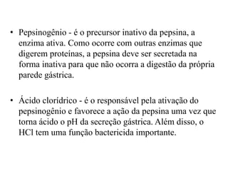 • Pepsinogênio - é o precursor inativo da pepsina, a
  enzima ativa. Como ocorre com outras enzimas que
  digerem proteínas, a pepsina deve ser secretada na
  forma inativa para que não ocorra a digestão da própria
  parede gástrica.

• Ácido clorídrico - é o responsável pela ativação do
  pepsinogênio e favorece a ação da pepsina uma vez que
  torna ácido o pH da secreção gástrica. Além disso, o
  HCl tem uma função bactericida importante.
 