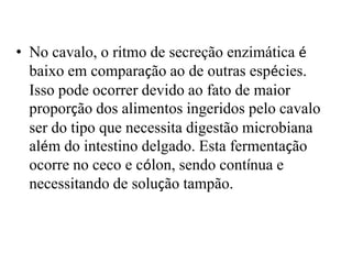 • No cavalo, o ritmo de secreção enzimática é
  baixo em comparação ao de outras espécies.
  Isso pode ocorrer devido ao fato de maior
  proporção dos alimentos ingeridos pelo cavalo
  ser do tipo que necessita digestão microbiana
  além do intestino delgado. Esta fermentação
  ocorre no ceco e cólon, sendo contínua e
  necessitando de solução tampão.
 