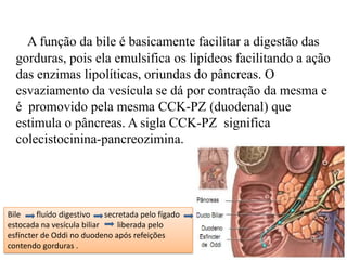A função da bile é basicamente facilitar a digestão das
  gorduras, pois ela emulsifica os lipídeos facilitando a ação
  das enzimas lipolíticas, oriundas do pâncreas. O
  esvaziamento da vesícula se dá por contração da mesma e
  é promovido pela mesma CCK-PZ (duodenal) que
  estimula o pâncreas. A sigla CCK-PZ significa
  colecistocinina-pancreozimina.




Bile    fluído digestivo    secretada pelo fígado
estocada na vesícula biliar     liberada pelo
esfíncter de Oddi no duodeno após refeições
contendo gorduras .
 