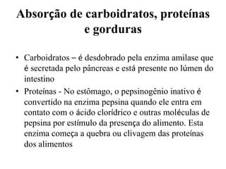 Absorção de carboidratos, proteínas
            e gorduras

• Carboidratos – é desdobrado pela enzima amilase que
  é secretada pelo pâncreas e está presente no lúmen do
  intestino
• Proteínas - No estômago, o pepsinogênio inativo é
  convertido na enzima pepsina quando ele entra em
  contato com o ácido clorídrico e outras moléculas de
  pepsina por estímulo da presença do alimento. Esta
  enzima começa a quebra ou clivagem das proteínas
  dos alimentos
 
